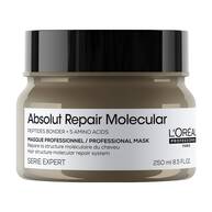 Absolut Repair Molecular Maske 250ml